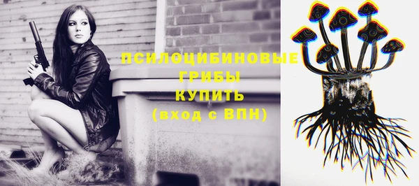 jwh Алзамай