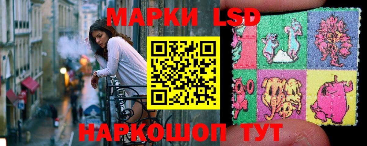 Волхов  Марки N-bome 1500мкг  Вход с VPN 