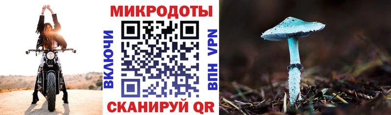 хочу наркоту  Волхов  Галлюциногенные грибы мицелий 